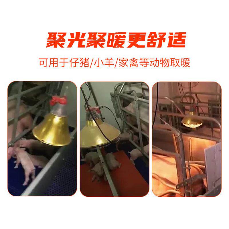 畜牧养殖保温灯灯罩兽用取暖灯罩灯口防水耐高温保温灯罩养殖用