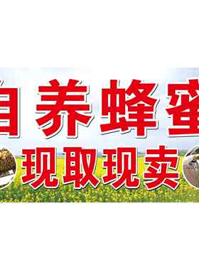 自养蜂蜜现取现卖海报展板天然冬蜜天山蜂园出售纯天然蜂密装饰画
