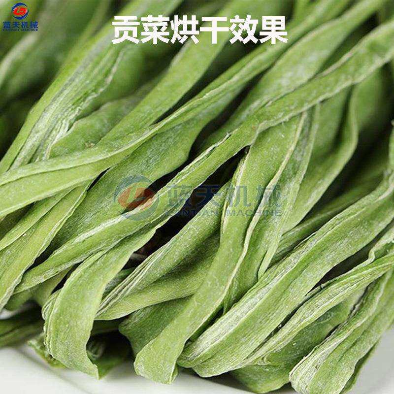 贡菜烘干机 大型苔菜响菜去皮切条烘干生产线 苔菜蔬菜脱水烘干房