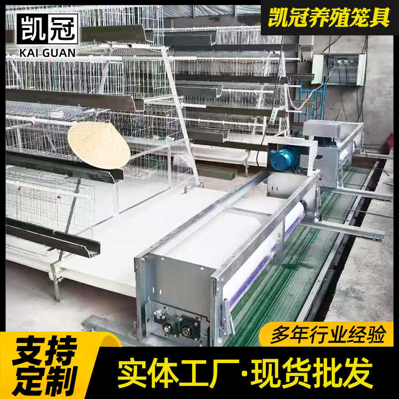 蛋鸡阶梯式笼子三层全套全自动笼蛋鸡蛋鸡笼子阶梯式组合养殖立体