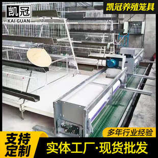 蛋鸡养殖笼子蛋鸡组合蛋鸡笼子阶梯式三层阶梯式立体全套笼全自动