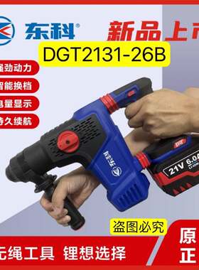 原装东科DGT2131-26B重型锂电电锤多功能混凝土钻凿两用工业电镐