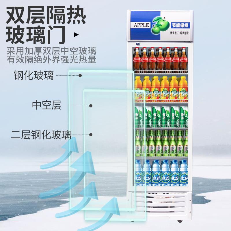 商用啤酒柜单双门保鲜冷藏饮料柜超市冷饮柜餐厅冰柜酒水展示柜