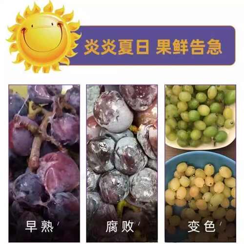 水果蔬菜专用保鲜喷雾杀菌防腐剂安全无毒延长存储食品级抗氧化液