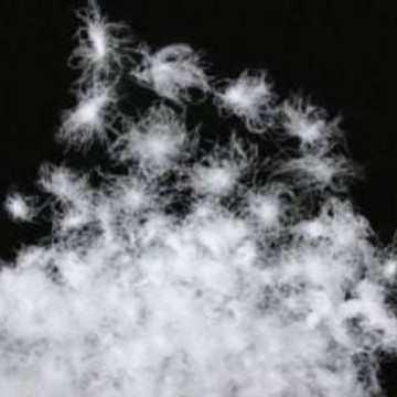 无羽毛异味鹅绒丝手感高 羽绒水洗粉碎蓬松批发羽绒丝厂家直销,节庆用品/礼品,毛条,淘宝优惠券,粉丝福利购,淘宝优惠卷