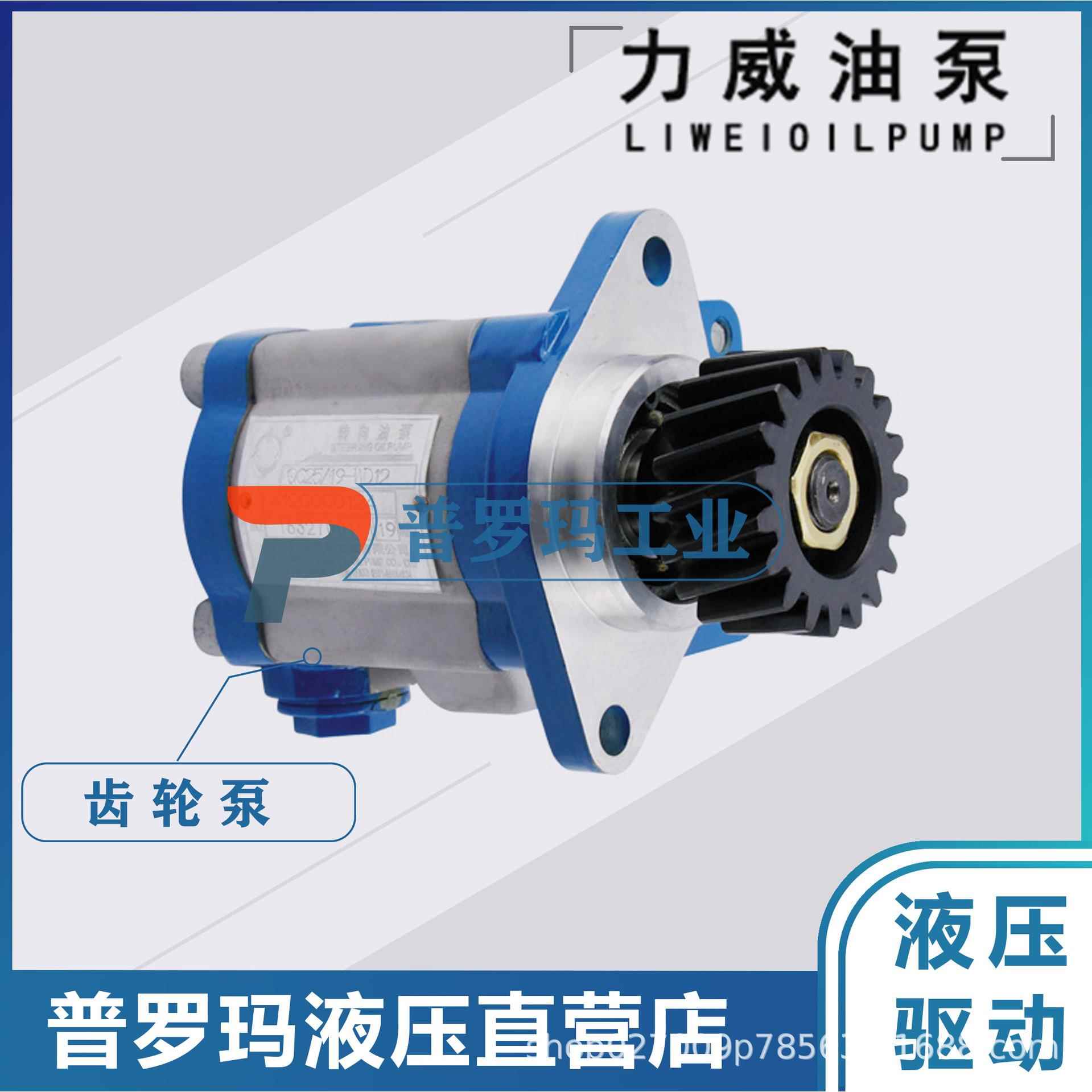合肥力威汽车齿轮油泵转向油泵上柴D6614转向助力泵QC18/13-D14CQ