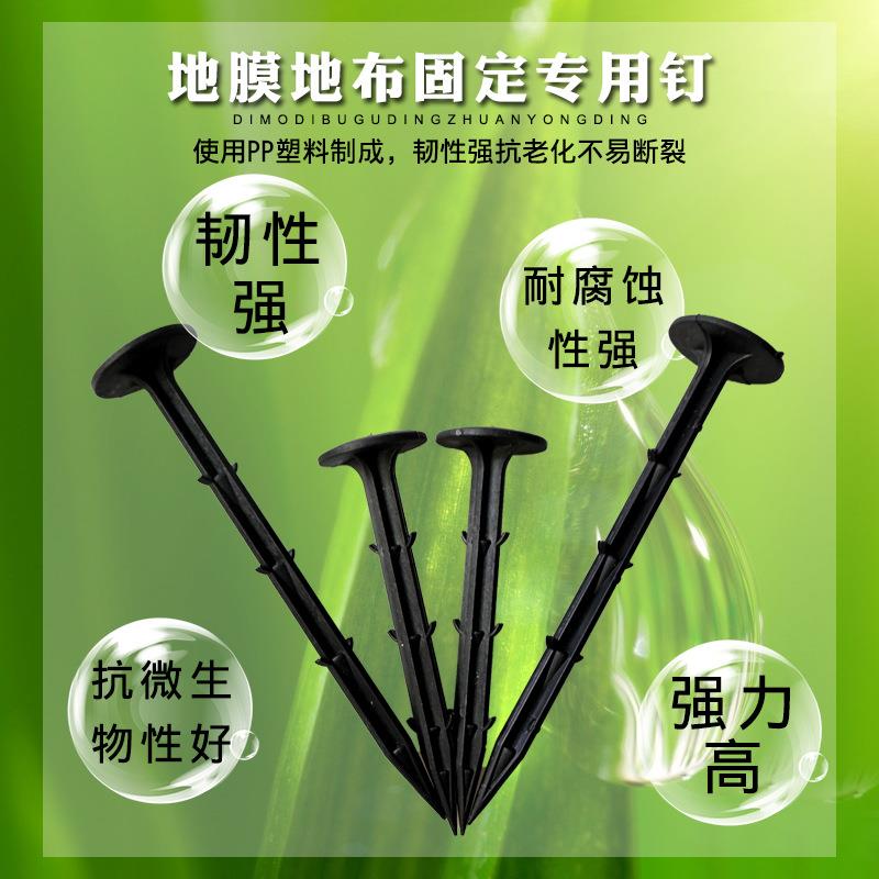 塑料防草布地钉园艺地布钉固定地膜钉除草布塑料地步钉厂家
