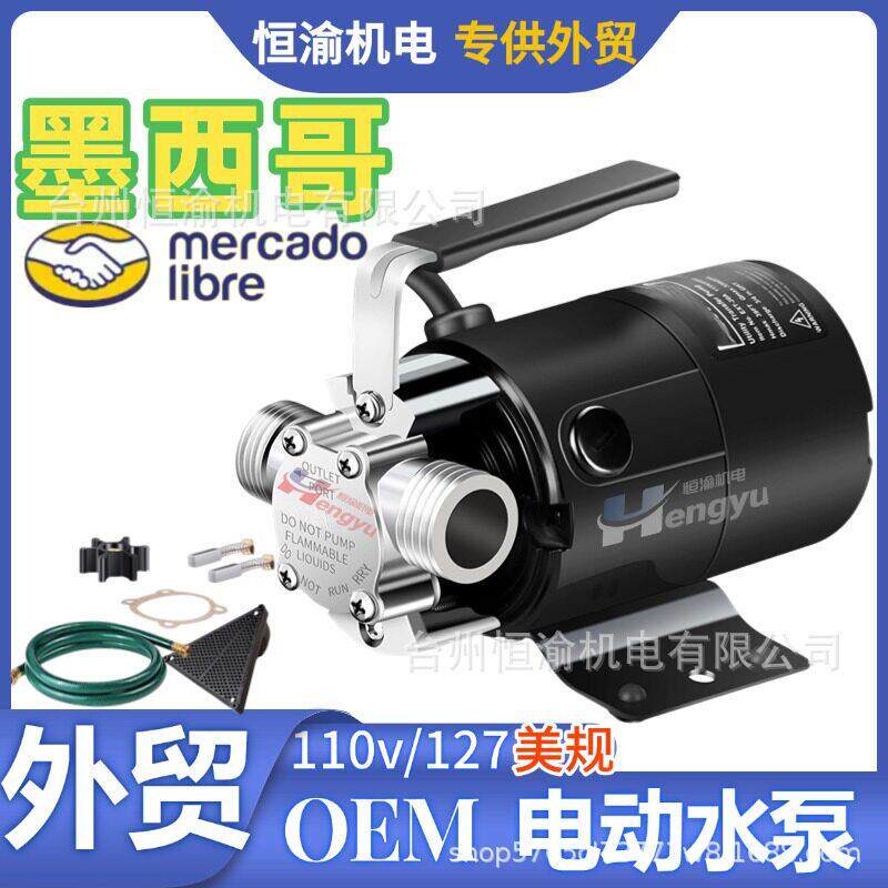 外贸墨西哥110v美规便携式电动抽油泵BombaDeTransfere水转移泵