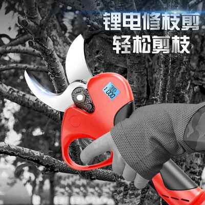 无刷果树新ILE修枝剪工锂树枝剪电动果树剪2025电款园林具