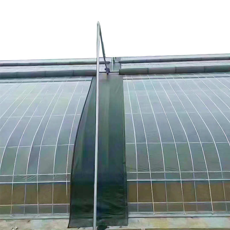加工冬季暖棚 日光温室 农业种植保温棚 镀锌钢管大棚
