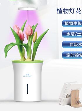 植物灯款悠植智能花盆家用办公室光照蔬菜花卉种植机园艺阳台绿植