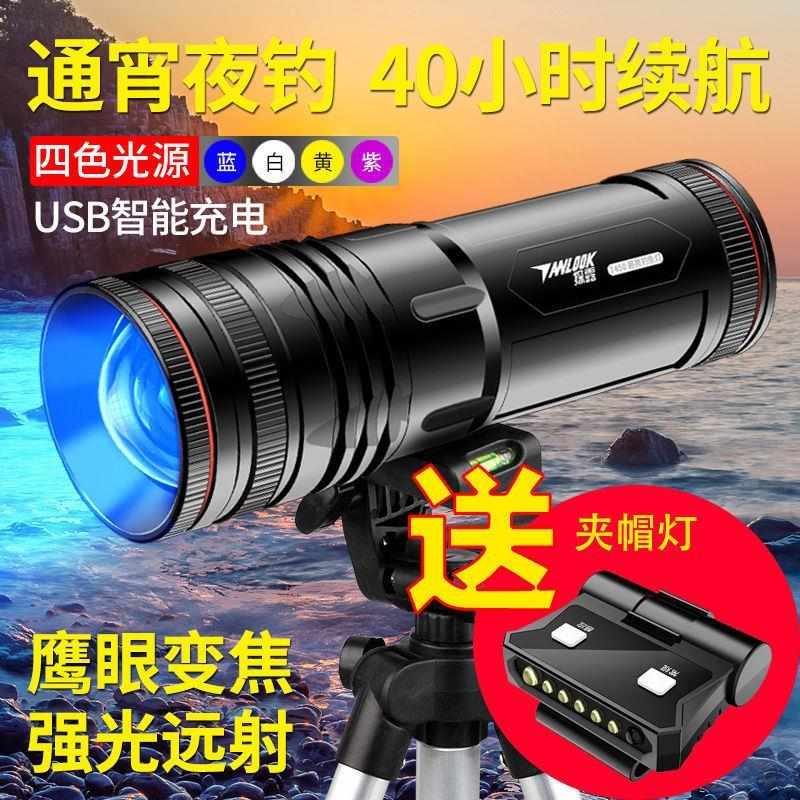 清货德国进口夜钓灯钓鱼灯紫光台钓亮鱼灯大功率拉饵充电蓝光
