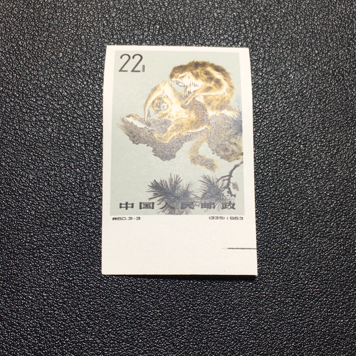 带边特60B金丝猴无齿22分带边原胶全品白胶润亮