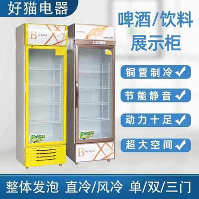 商用啤酒饮料柜 单双三门立式饮料冷藏展示冰柜 超市水果保鲜冷柜
