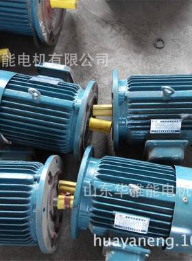 猛牛V1电机衡水船用YB3-H112M-2-4电机法兰安装孔键和键槽长度
