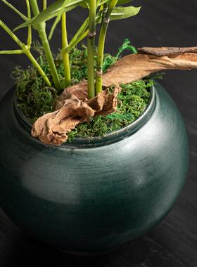 侘寂风仿真绿植摆件新中式禅意墨绿色盆景花瓶酒店装饰花艺