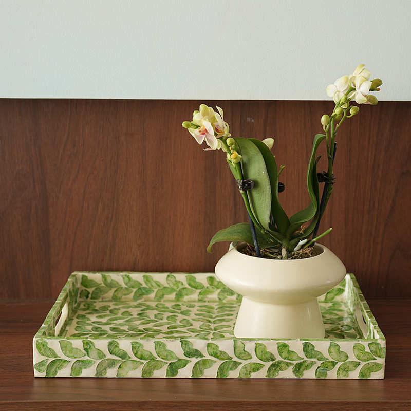 北欧风轻奢彩色贝壳托盘水果盘首饰杂物咖啡面包客厅家用点心篮