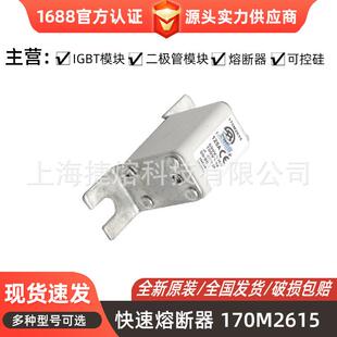 电子元 170M1853 170M2615 170M2619快速熔断器 库存充足 器件