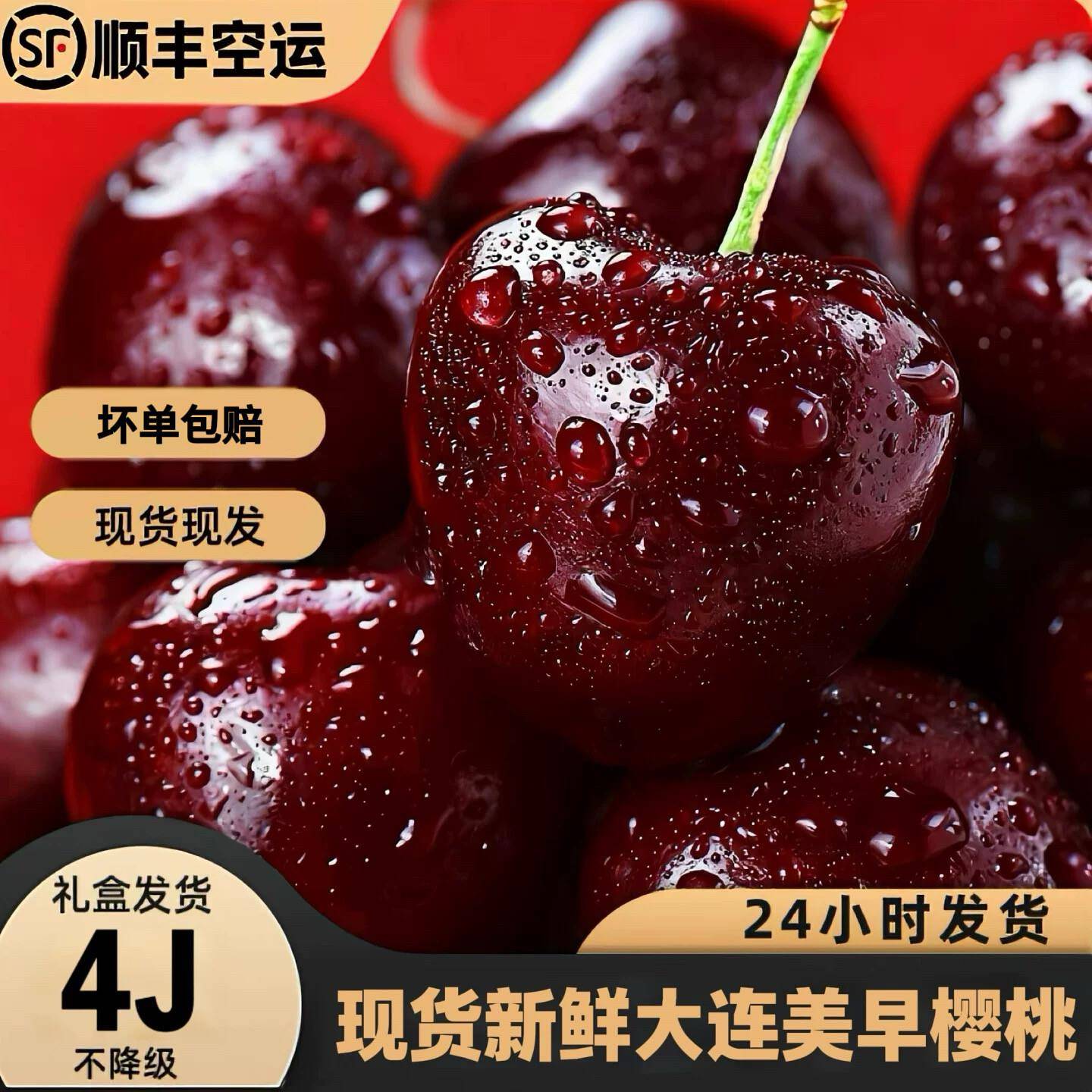 大连美早樱桃4J特大果 孕妇可吃 新鲜现摘顺丰包邮盒装国产大樱桃