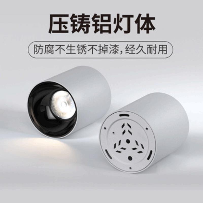 100W明装防水筒灯户外站台露台雨棚厂房体育馆机场高铁站天棚灯