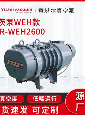 意塔尔罗茨真空泵WEH款ETR-WEH2600 蒸馏萃取过滤真空成型真空泵
