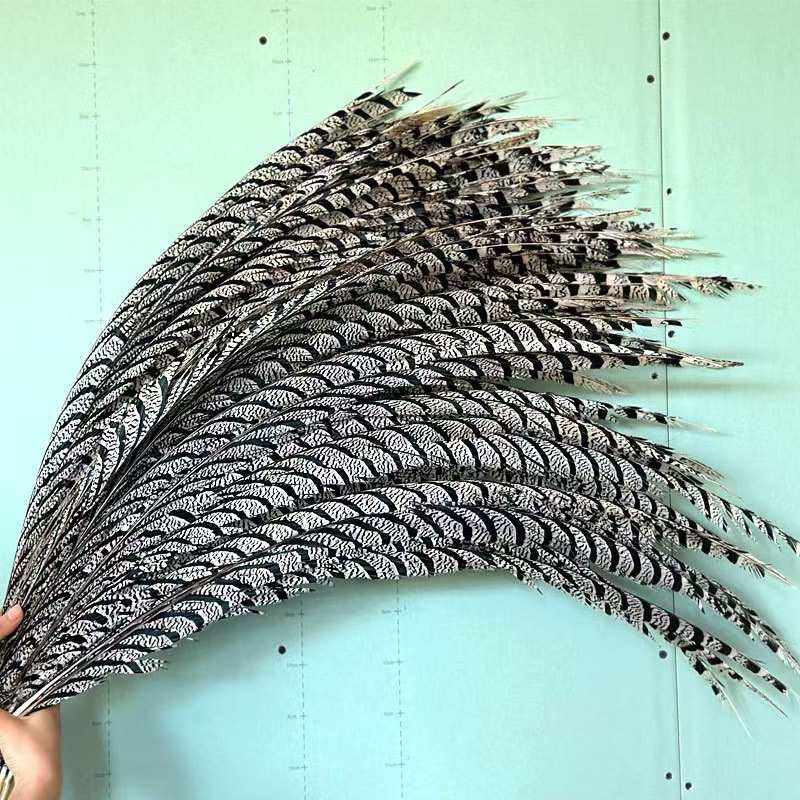 铜鸡盖尾80-90cm野鸡毛京戏翎子戏曲用品俏花旦演出羽毛铜鸡盖尾