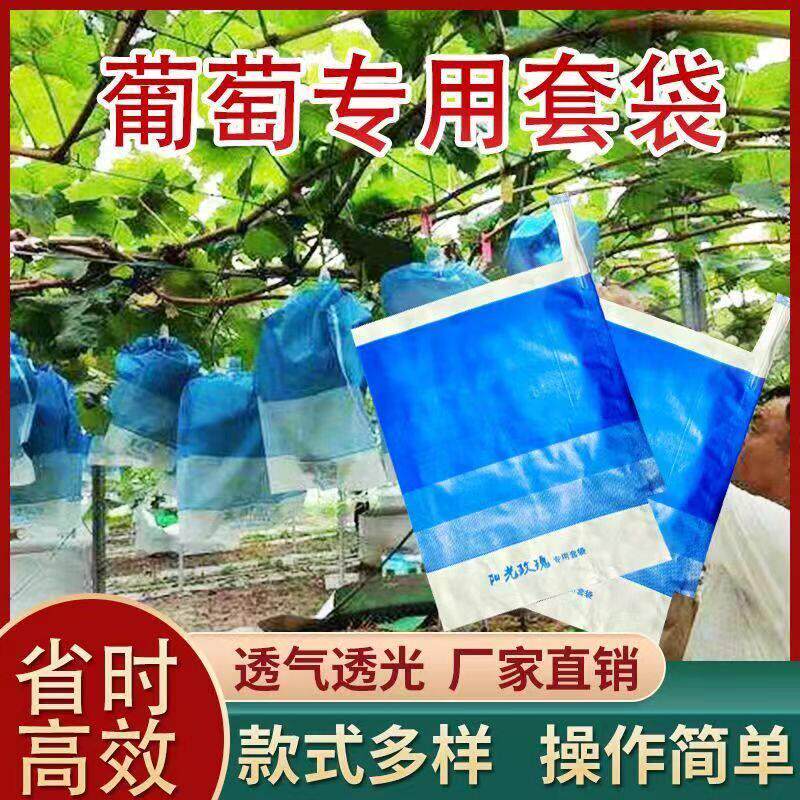渐层蓝三色阳光玫瑰葡萄专用加厚套袋抗菌防晒防水防虫厂直销价优