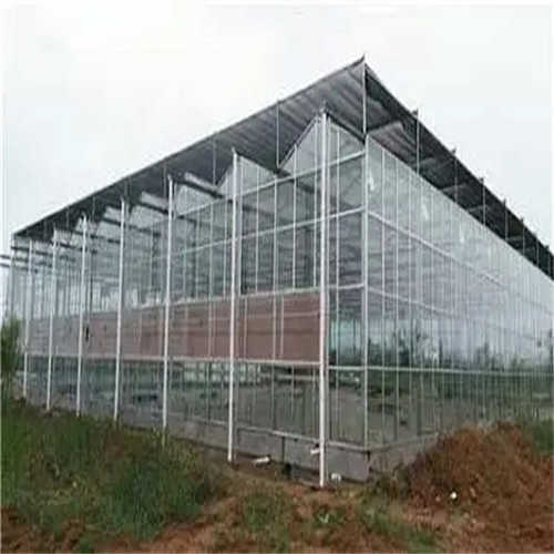 连栋大棚玻璃温室农业种植棚果蔬育苗养殖棚观光餐厅采摘温室大棚