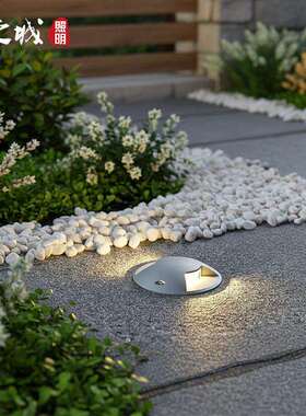 led透光地埋灯3W防水台阶花园步道两面发光圆形不锈钢龟壳地埋灯