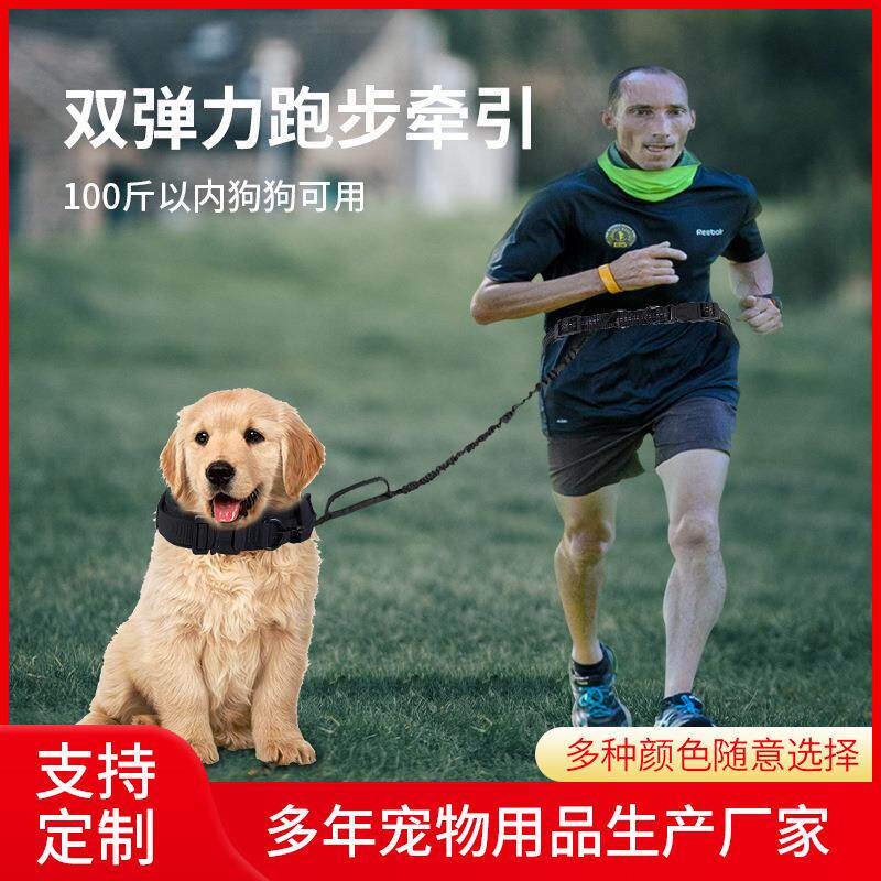 宠厂用品跑步牵绳犬物狗狗训练链防缓冲伸缩引拉带JDP反光狗绳家