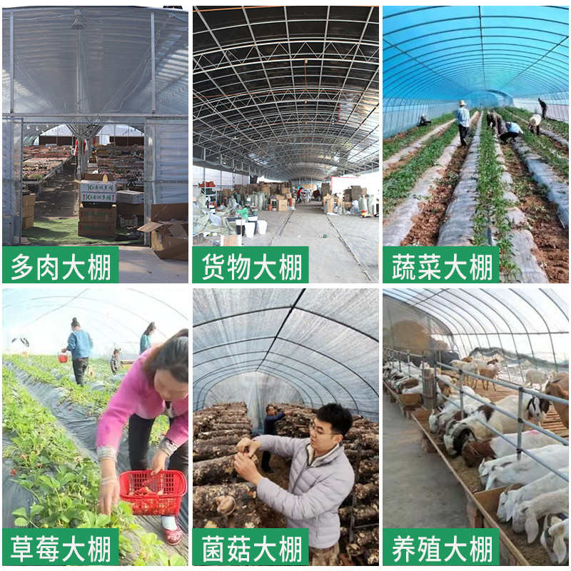 大棚钢管骨架种植蔬菜花卉养殖鸡羊大棚连联体椭圆管全套温室大棚