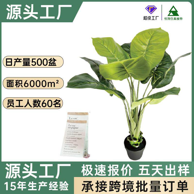 仿真万年青绿植盆栽办公客厅家居装饰塑料杆人造仿真万年青盆栽