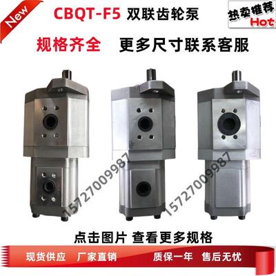 双联齿轮泵 CBQT