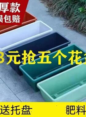 种菜专用箱泡沫阳台种菜盆长方形塑料花盆家庭蔬菜种植盆种菜神器