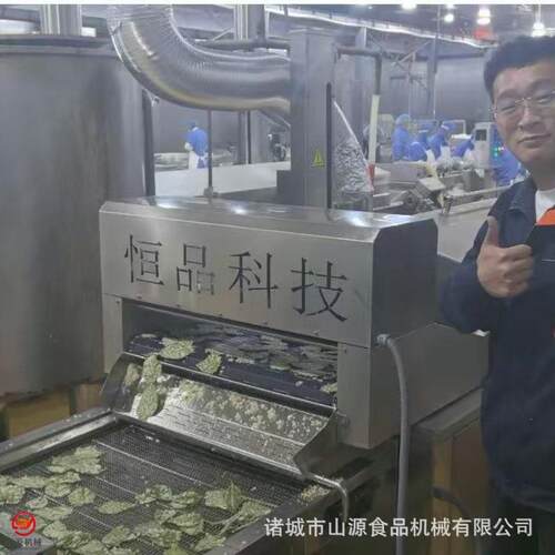 800型香酥翠叶油炸机 桑叶裹浆油炸流水线 翠叶油炸机 废品率低