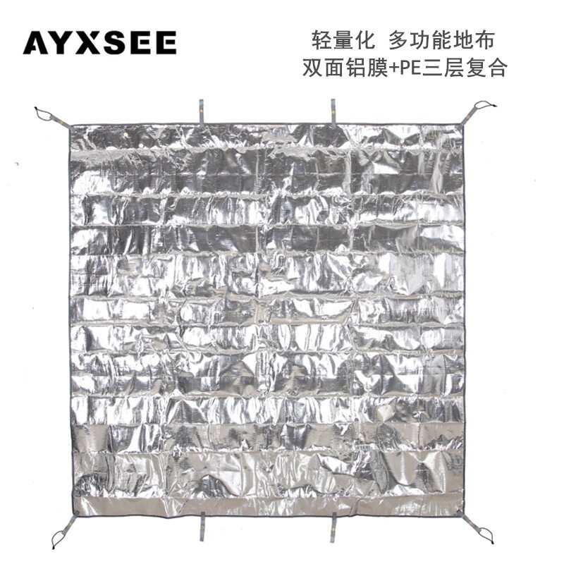 AYXSEE野餐垫防潮垫加厚pe野餐垫