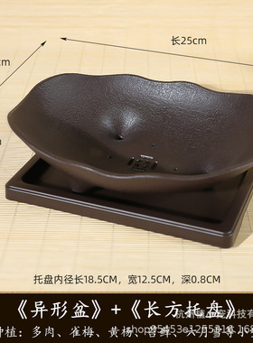 简约异形花盆仿石器盆悬崖盆菖蒲植物山水造景盆景盆加厚树脂花盆