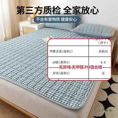 床护垫软脏垫NOM家褥用卧室防滑垫子保护垫薄垫被褥子铺底床垫隔