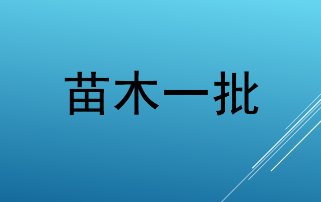 4月15日嘉兴市苗木一批（主要品种为榉树、香樟等，以现状为准）网络拍卖公告