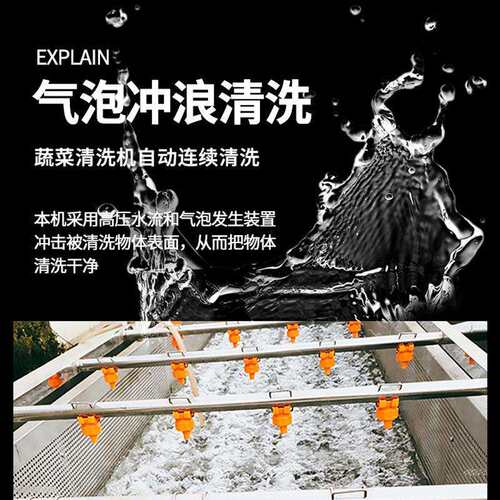 全动果洗蔬QTU清洗机 多功能蔬净果菜清洗设备流水清线自气泡洗菜