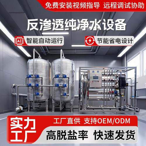 定制不锈钢工业反渗透设备纯净水大型去离子纯水设备水处理工厂家