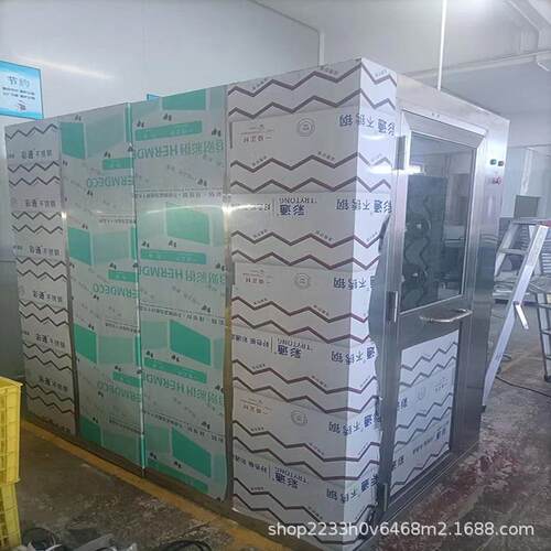 风室智不锈钢淋单人双自吹能感ZH-SL121应风淋门净化车间配套风淋