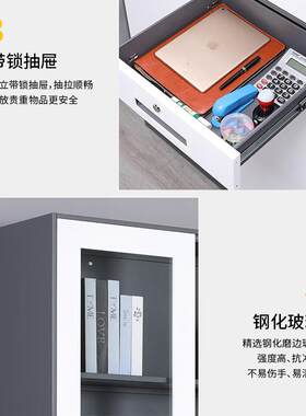 窄边办公室文件柜铁皮柜加厚档案资料柜矮书柜套色拆装钢制储物柜