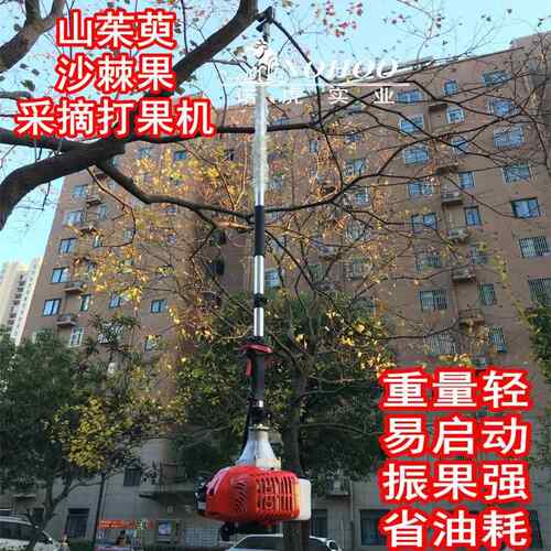 栗核桃采橄摘机FVV打板机青摘梅沙棘山茱萸打果机榄坚果采收机器