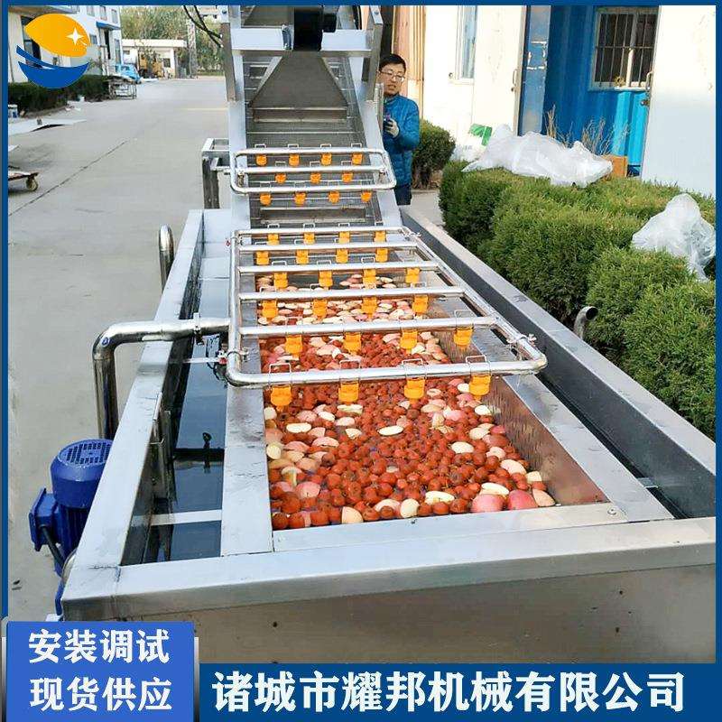 连续式果蔬气泡清洗机 葡萄水果蔬菜清洗设备 鼓泡全自动洗菜机器