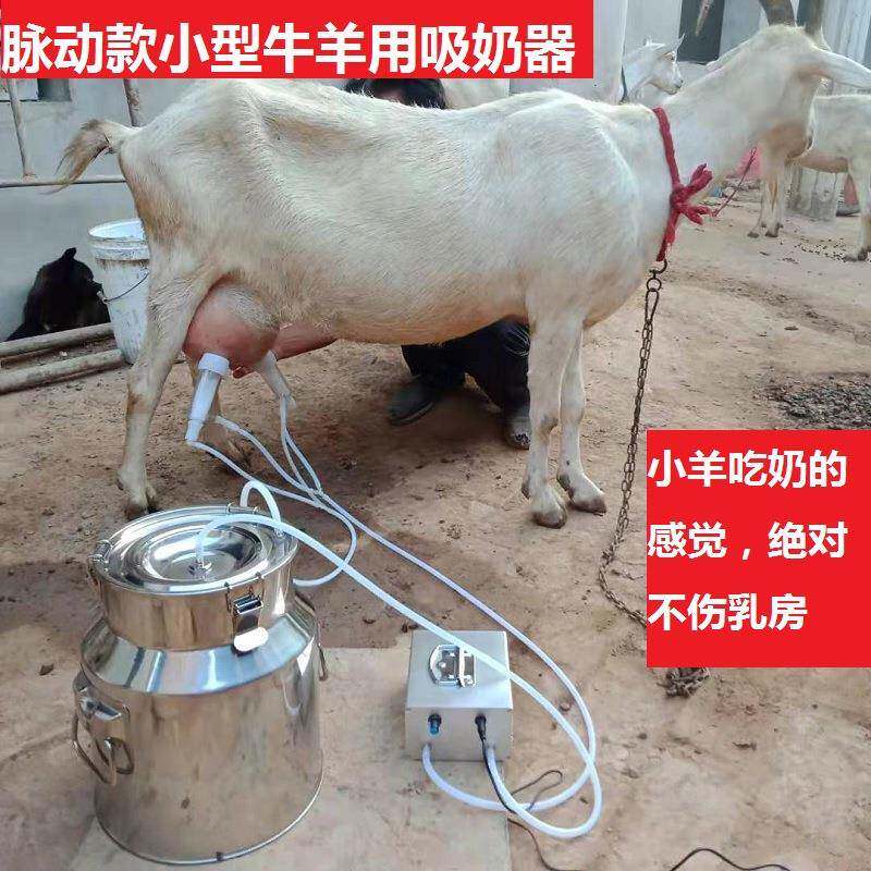 吸羊奶器真空脉动挤羊奶机小型家用牛羊吸奶器牛挤奶器电动吸奶器