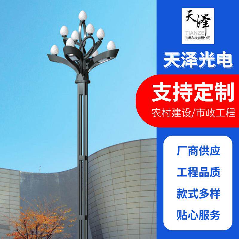 新款中华灯广场园林道路中华灯市政建设道路美化照明玉兰灯