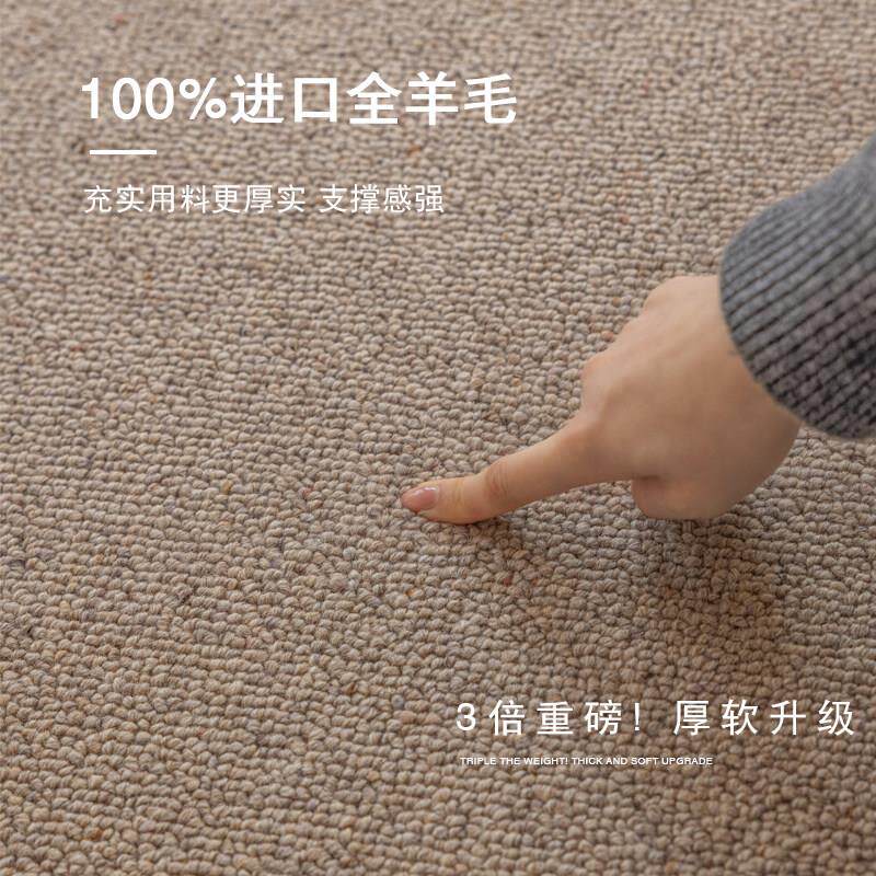 进口全羊毛地毯客厅茶几卧室轻奢高级沙发地垫100%真羊毛天然环保