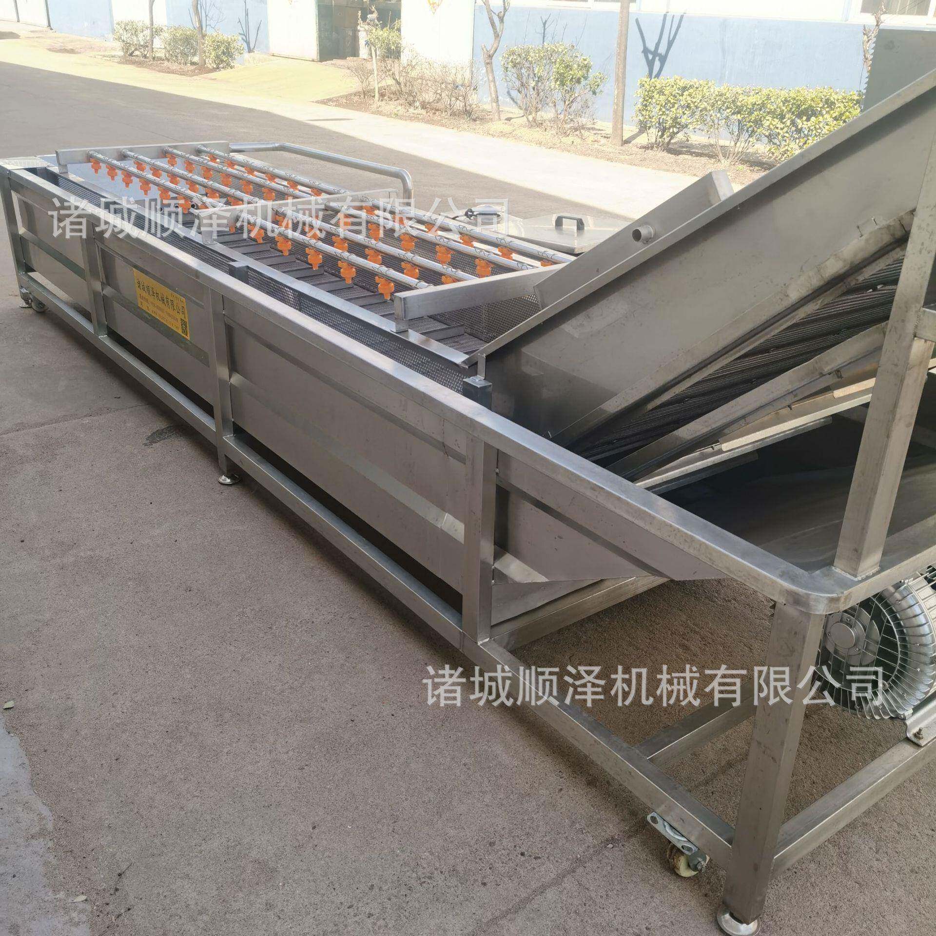 供应葡萄蓝莓清洗机西红柿清洗机不锈钢气泡喷淋式果蔬清洗设备