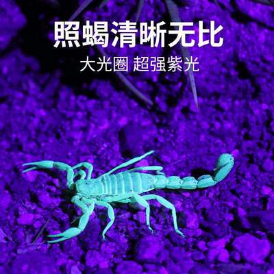 UV395紫光三颗同时亮 双光源白紫手提灯 紫外线LED强光手提蝎子灯